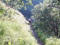 Youri - Ecrins 2005 017